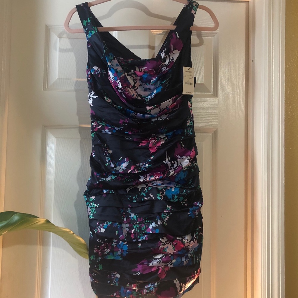 Express Floral Dress